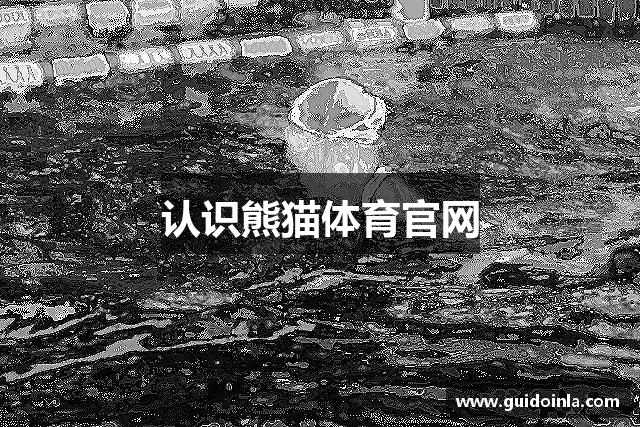 认识熊猫体育官网